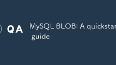 MySQL Blob : ?? ??? ???