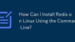 ?? ?? ???? Linux? Redis? ????? ?????????