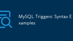 MySQL ??? : ?? ??