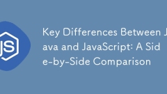 Java和JavaScript之间的主要差异:并排比较