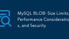 MySQL Blob : ?? ??, ?? ?? ?? ? ??
