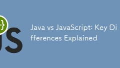 Java vs JavaScript:解释了关键差异