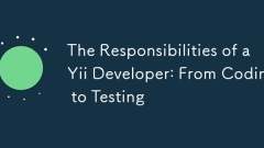 The Responsibilities of a Yii Developer: From Coding to Testing