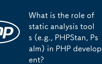 What is the role of static analysis tools (e.g., PHPStan, Psalm) in PHP development?