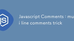 JavaScript评论:多行评论技巧