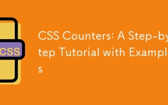 Kaunter CSS: tutorial langkah demi langkah dengan contoh