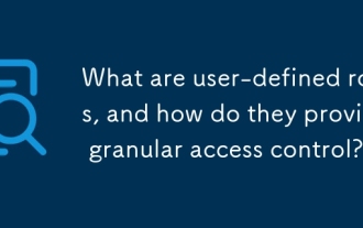 What are user-defined roles, and how do they provide granular access control?