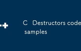 C Destructors code samples