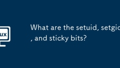 What are the setuid, setgid, and sticky bits?