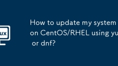 How to update my system on CentOS/RHEL using yum or dnf?