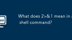 What does 2>&1 mean in a shell command?