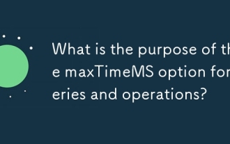 What is the purpose of the maxTimeMS option for queries and operations?