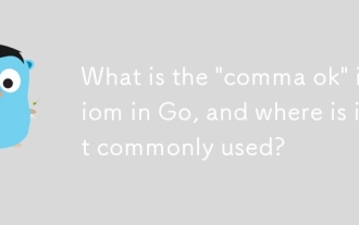 What is the 'comma ok' idiom in Go, and where is it commonly used?