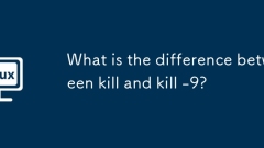 ?? ? -9? ???? ??????