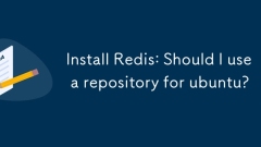 Installieren Sie Redis: Sollte ich ein Repository für Ubuntu verwenden?