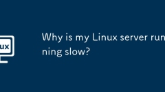 Warum l?uft mein Linux -Server langsam?