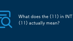int (11)? (11)? ??? ??? ??????
