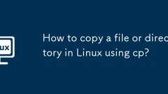 Wie kopiere ich eine Datei oder ein Verzeichnis unter Linux mit CP?
