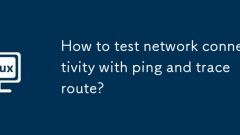 How to test network connectivity with ping and traceroute?