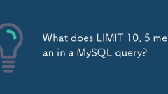 MySQL ???? ?? 10, 5? ??? ??????