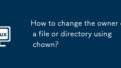 How to change the owner of a file or directory using chown?
