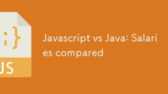 JavaScript vs Java:比较薪水