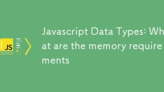 JavaScript数据类型:内存要求是什么