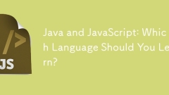 Java和JavaScript:您应该学到哪种语言?