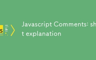 Javascript Comments: short explanation