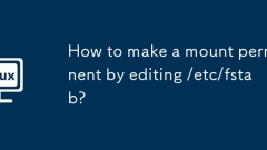 How to make a mount permanent by editing /etc/fstab?