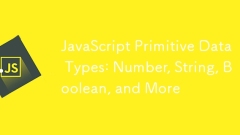 JavaScript原始数据类型:数字,字符串,布尔值等