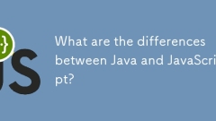 Java和JavaScript之间有什么区别?