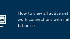 How to view all active network connections with netstat or ss?