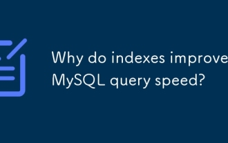 Why do indexes improve MySQL query speed?