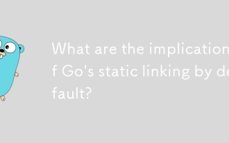 What are the implications of Go's static linking by default?