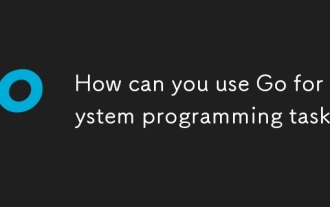How can you use Go for system programming tasks?