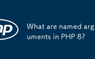 What are named arguments in PHP 8?