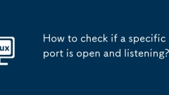 How to check if a specific port is open and listening?