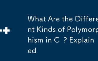 What Are the Different Kinds of Polymorphism in C ? Explained