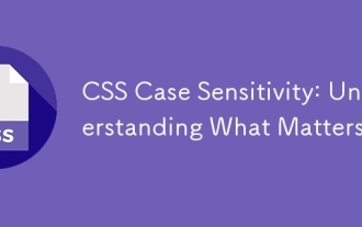 Kepekaan kes CSS: Memahami apa yang penting