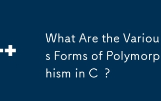 What Are the Various Forms of Polymorphism in C ?