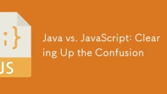 Java vs. JavaScript: Clearing Up the Confusion