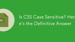 Is CSS Case Sensitive? Here's the Definitive Answer