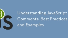 理解JavaScript评论:最佳实践和示例