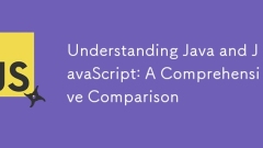了解Java和JavaScript:全面比较
