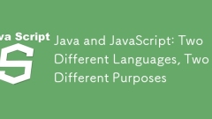 Java和JavaScript:两种不同的语言,两种不同的目的