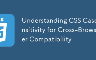 Verst?ndnis der CSS-Fallempfindlichkeit für die Kompatibilit?t des Cross-Browsers