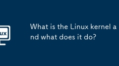 What is the Linux kernel and what does it do?
