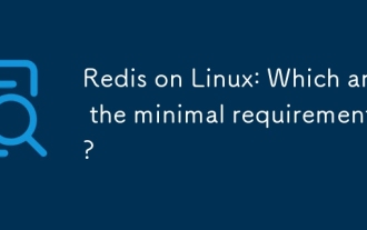 Redis unter Linux: Welches sind die minimalen Anforderungen?