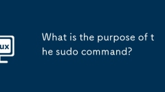 What is the purpose of the sudo command?
